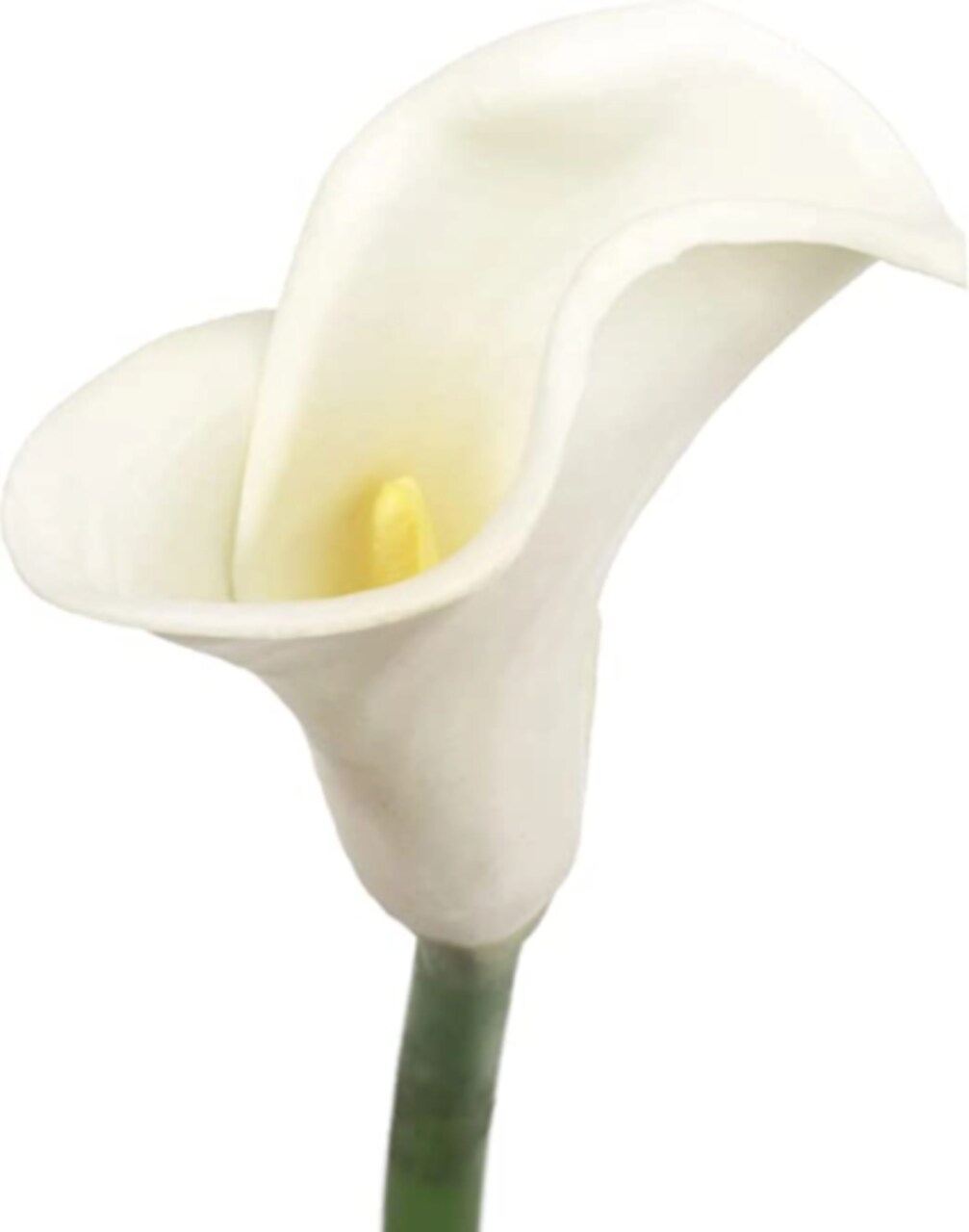 20" White Calla Lily - Set of 24, Lifelike Artificial Flowers, Elegant Floral Décor, Perfect for Events, Arrangements & Home - Ideal for All Seasons, Floral Home by Artificial Flowers